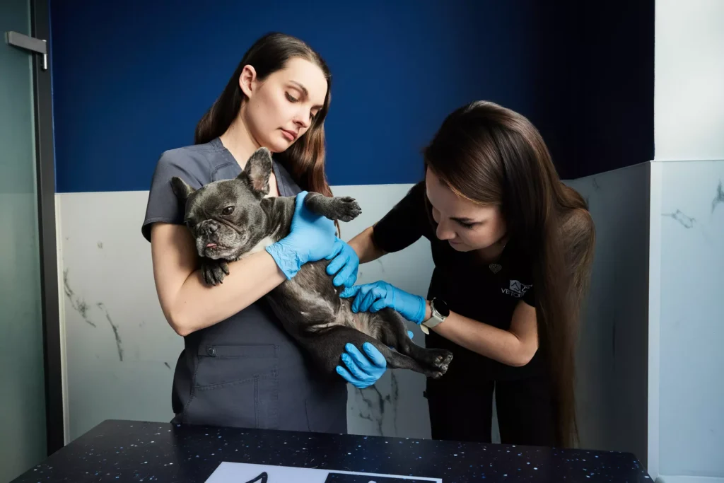 VetClinc Sesja dla Kliniki Weterynaryjnej w Lublinie Portrety & kontent