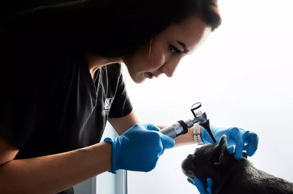 VetClinc Sesja dla Kliniki Weterynaryjnej w Lublinie Portrety & kontent