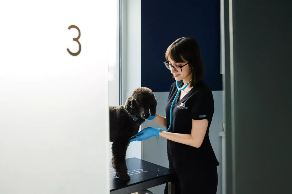 VetClinc Sesja dla Kliniki Weterynaryjnej w Lublinie Portrety & kontent