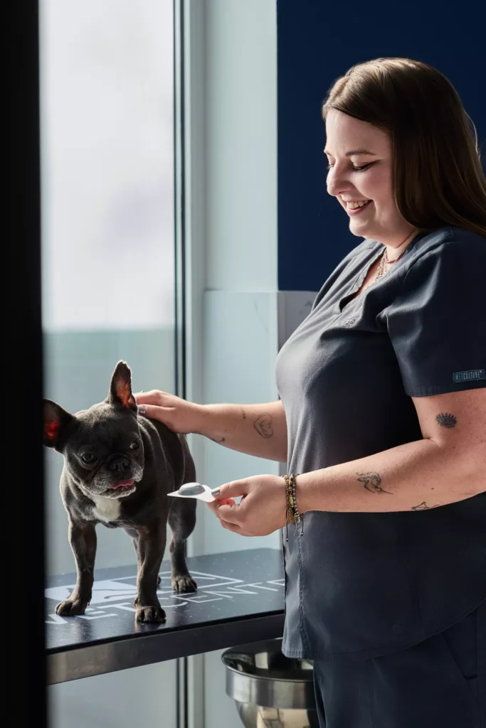 VetClinc Sesja dla Kliniki Weterynaryjnej w Lublinie Portrety & kontent